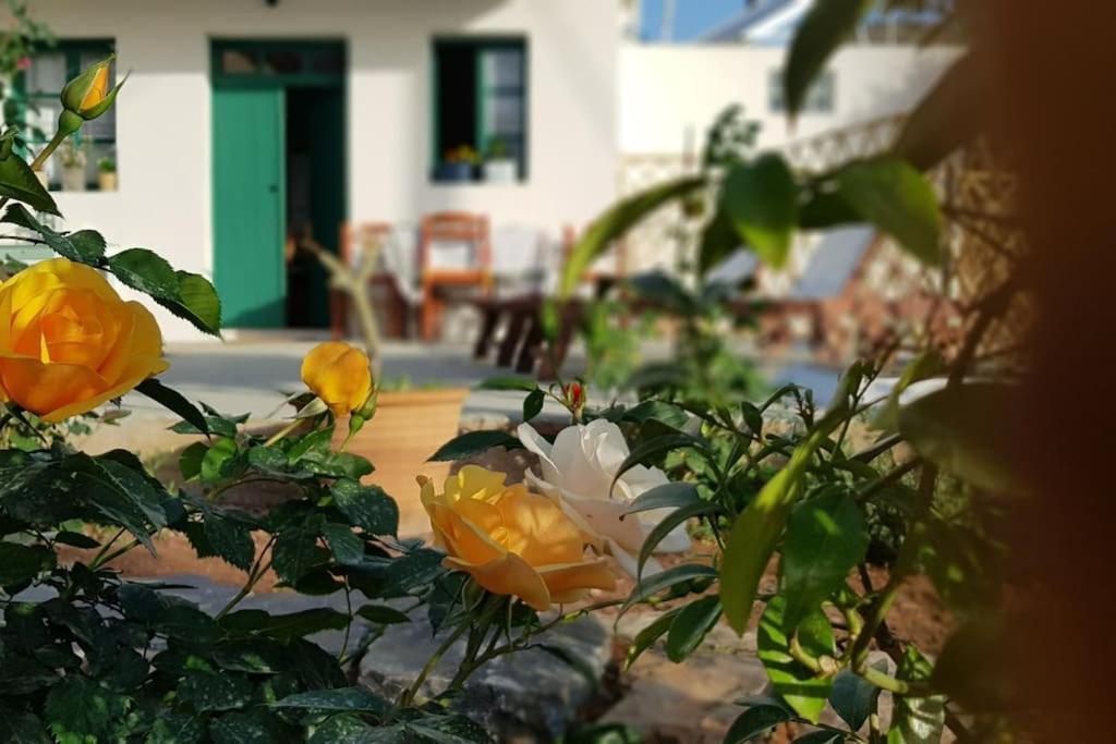 Erofili Cottage House Ελούντα Εξωτερικό φωτογραφία